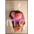 杭州桐庐华纳丝针纺服饰有限公司（围巾）-数码印花围巾